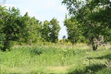 Farm and Ranch in Hale County, Texas