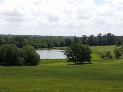 Land in Anderson County, Texas
