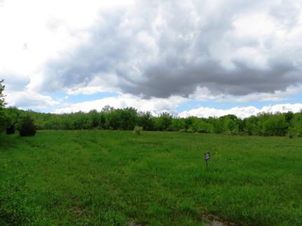 Undeveloped Land in DeKalb County, Illinois