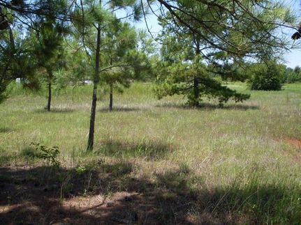 Farm and Ranch in Anderson County, Texas