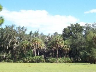 Farm and Ranch in Hillsborough County, Florida