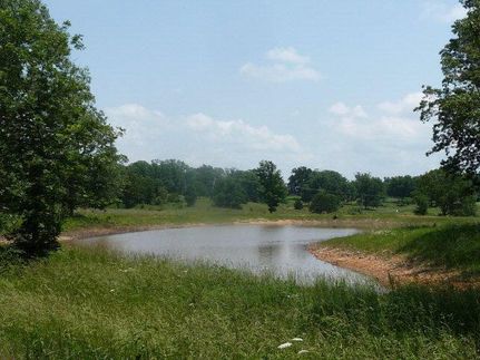 Undeveloped Land in Howell County, Missouri