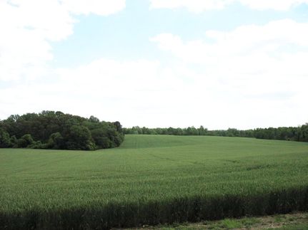 Land in Caroline County, Virginia