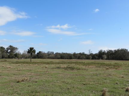 Farm and Ranch in DeSoto County, Florida