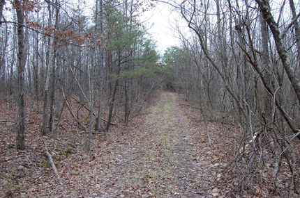 Undeveloped Land in Gallia County, Ohio