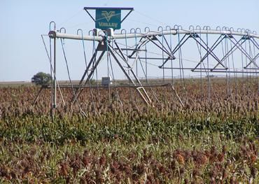 Land in Parmer County, Texas
