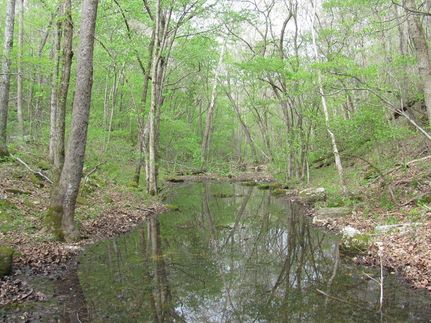 Farm and Ranch in Howell County, Missouri