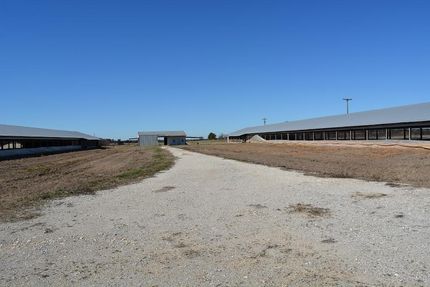 Timberland Property in Hopkins County, Texas