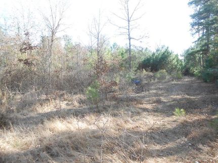 Land in Trinity County, Texas
