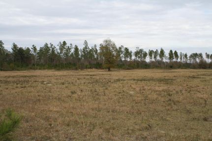 Farm and Ranch in Baker County, Florida