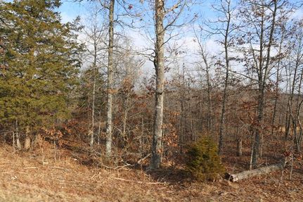 Land in Oregon County, Missouri