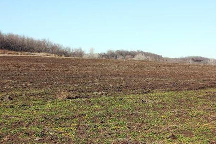 Farm and Ranch in Douglas County, Kansas