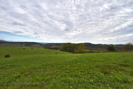 Land in Wythe County, Virginia