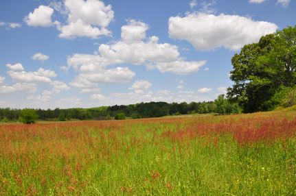Farm and Ranch in Hardeman County, Tennessee