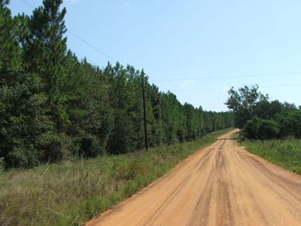 Farm and Ranch in Toombs County, Georgia
