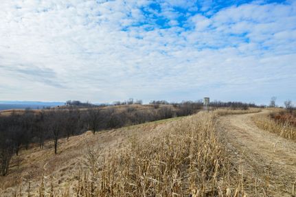 Farm and Ranch in Calhoun County, Illinois