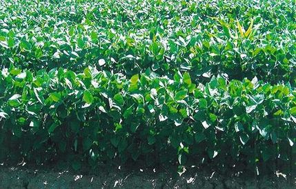 Farm and Ranch in Carroll County, Indiana