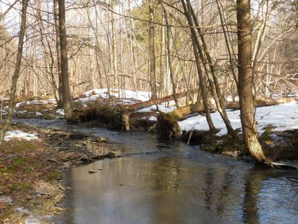 Farm and Ranch in Chenango County, New York