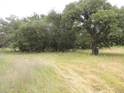 Farm and Ranch in Coleman County, Texas
