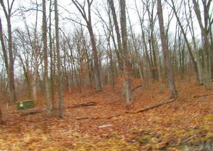 Farm and Ranch in Lincoln County, Missouri