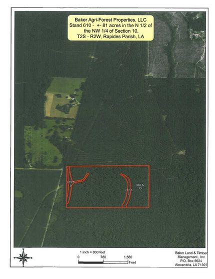 Farm and Ranch in Rapides Parish, Louisiana