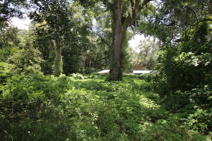 Lakefront Property in Gilchrist County, Florida