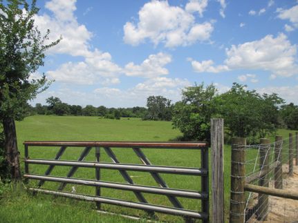 Farm and Ranch in Austin County, Texas
