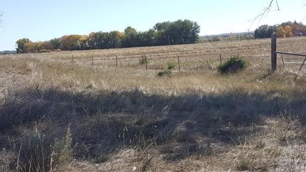 Timberland Property in Rosebud County, Montana