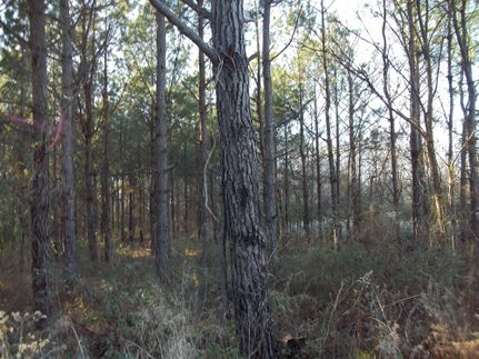 Farm and Ranch in Greenwood County, South Carolina