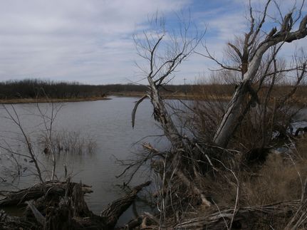 Undeveloped Land in Archer County, Texas