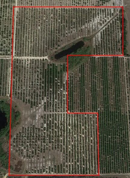 Farm and Ranch in Polk County, Florida