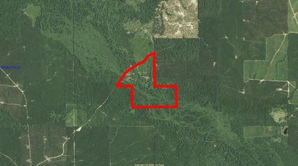 Farm and Ranch in Caldwell Parish, Louisiana