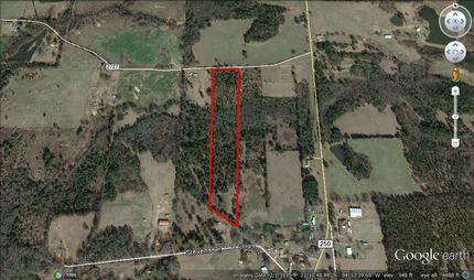 Timberland Property in Cass County, Texas