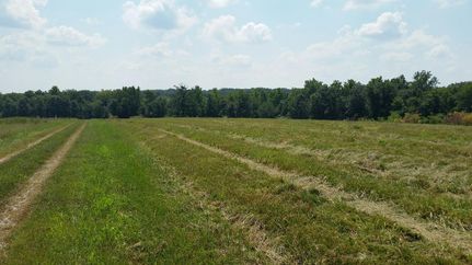 Undeveloped Land in Monroe County, Missouri