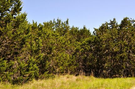 Farm and Ranch in Bandera County, Texas