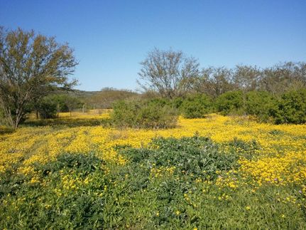 Recreational Property in Uvalde County, Texas
