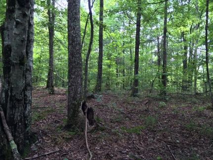 Land in Grundy County, Tennessee