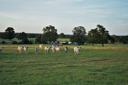 Farm and Ranch in Washington County, Texas