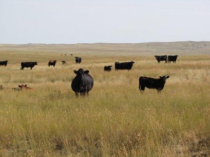Farm and Ranch in Garfield County, Montana