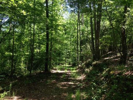 Land in Laurens County, South Carolina