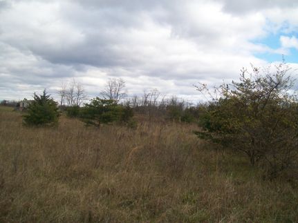 Land in Hampshire County, West Virginia