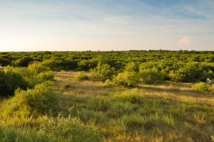 Farm and Ranch in Kleberg County, Texas