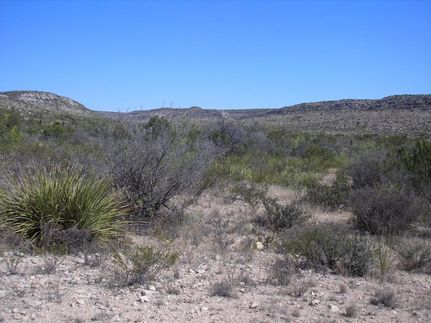 Farm and Ranch in Terrell County, Texas