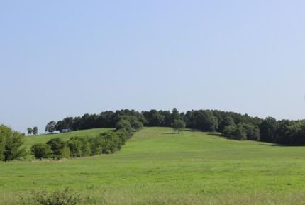 Recreational Property in Upson County, Georgia