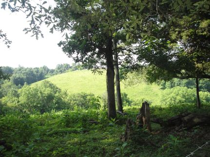 Farm and Ranch in Franklin County, Tennessee
