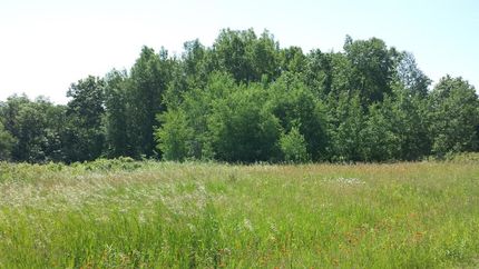 Farm and Ranch in Vernon County, Wisconsin