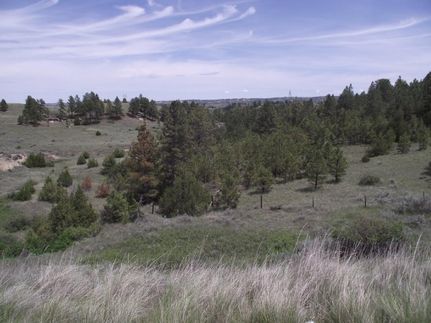 Farm and Ranch in Yellowstone County, Montana