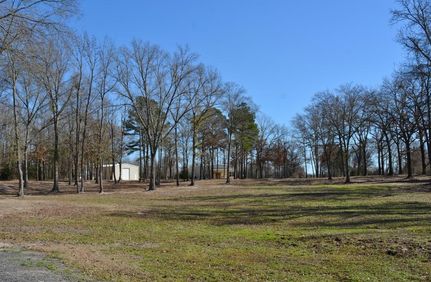 Timberland Property in Hopkins County, Texas