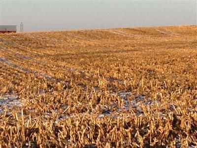 Farm and Ranch in Bureau County, Illinois