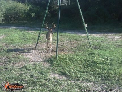 Land in Victoria County, Texas